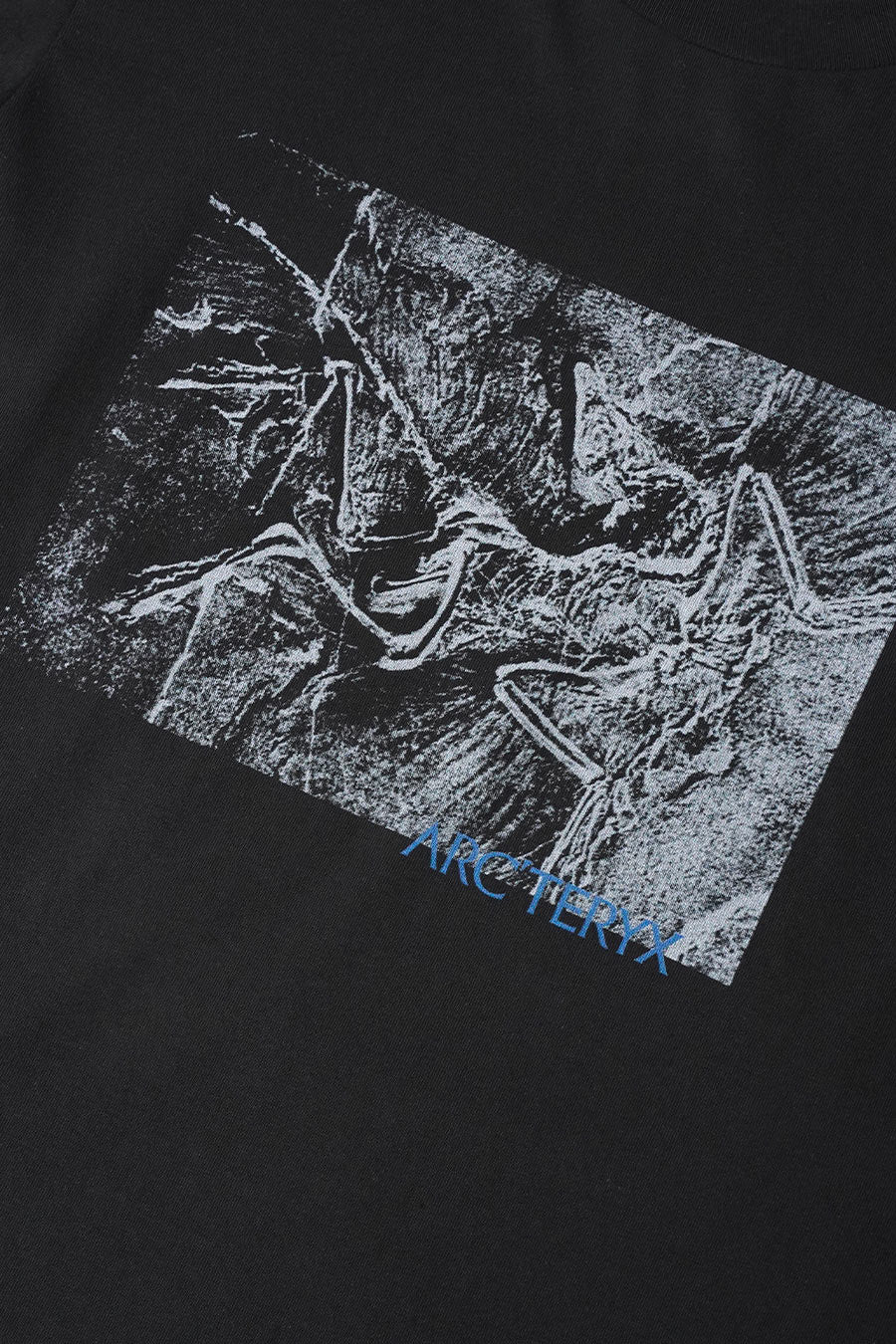 T-SHIRT KRAGG LITHOGRAPHICA NOIR - Image 2