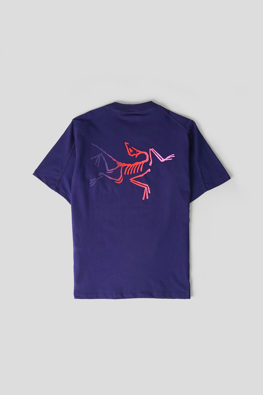 T-SHIRT KRAGG LOGO SOULSONIC ET DYNASTY - Image 3