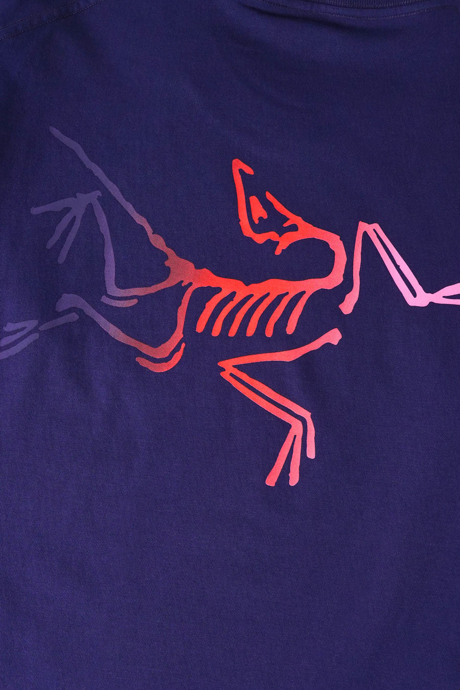 T-SHIRT KRAGG LOGO SOULSONIC ET DYNASTY - Image 4