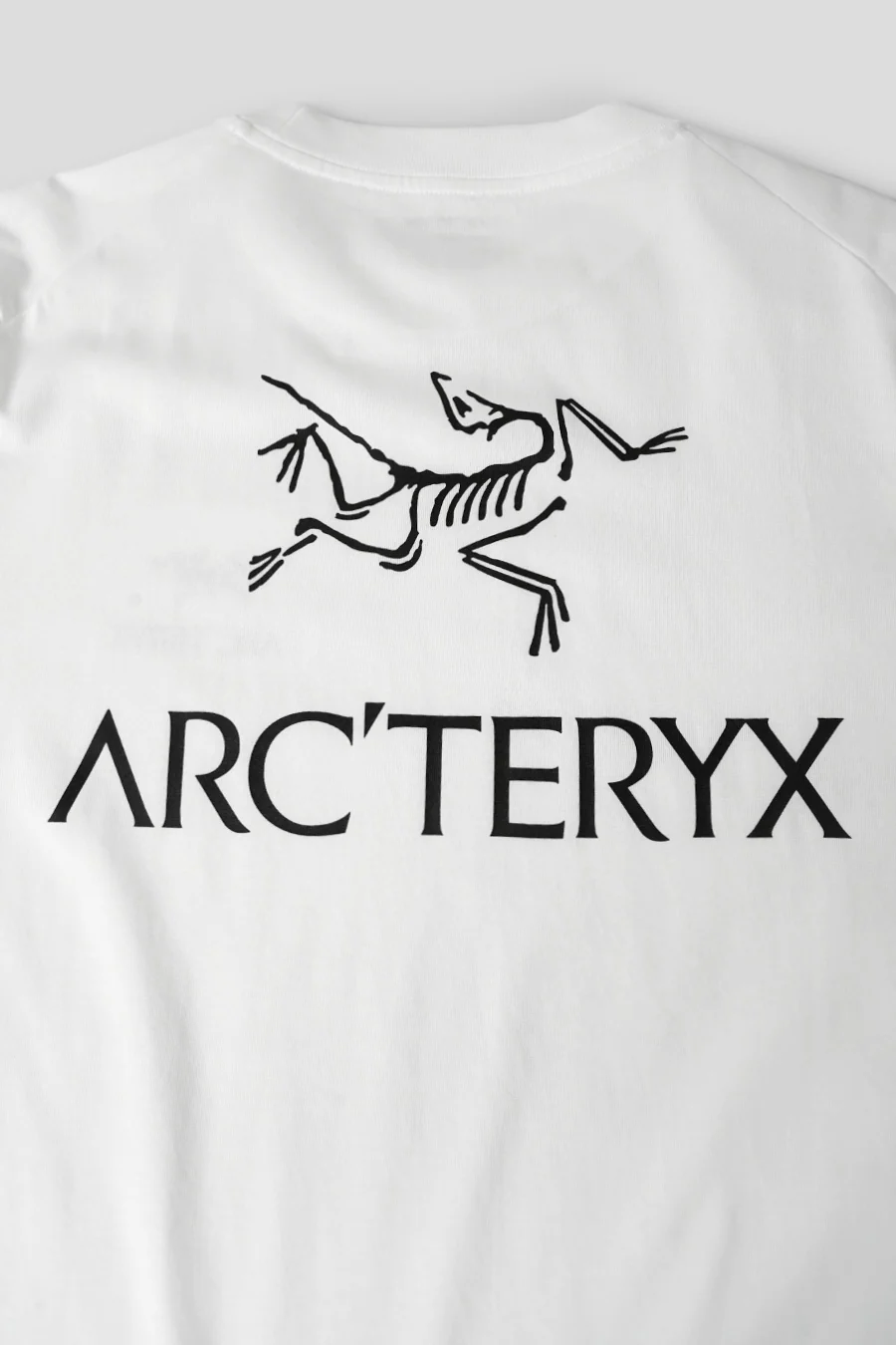 T-SHIRT KRAGG SL BIRD WORD WHITE LIGHT ET BLACK - Image 4