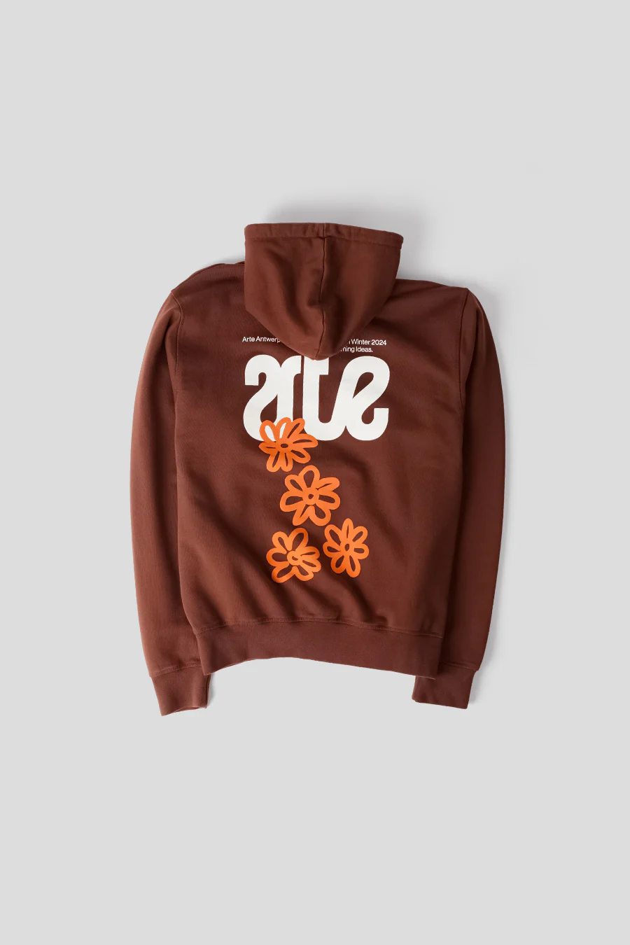 HOODIE BLOOMING IDEAS MARRON - Image 3