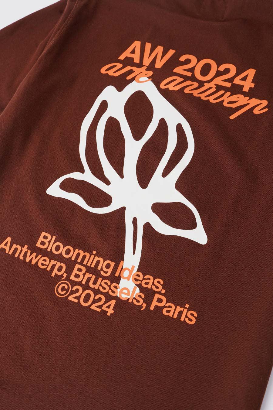 T-SHIRT TULIPE MARRON - Image 2