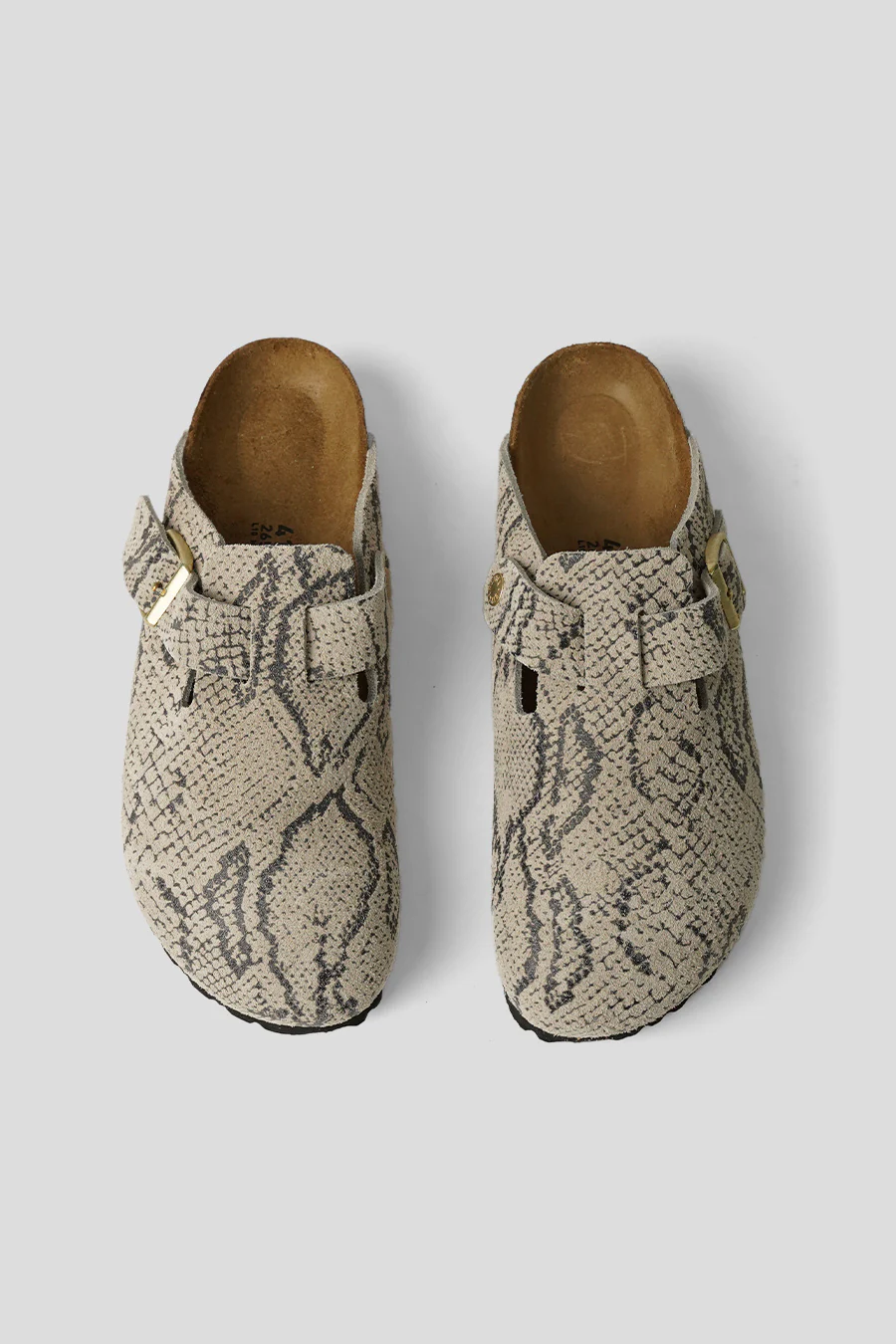 BOSTON RIVET LOGO SNAKE OYSTER - Image 5