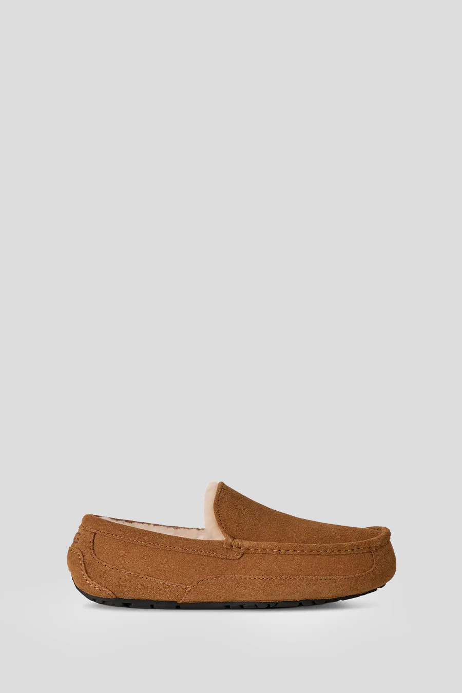 CHAUSSON ASCOT CHESTNUT